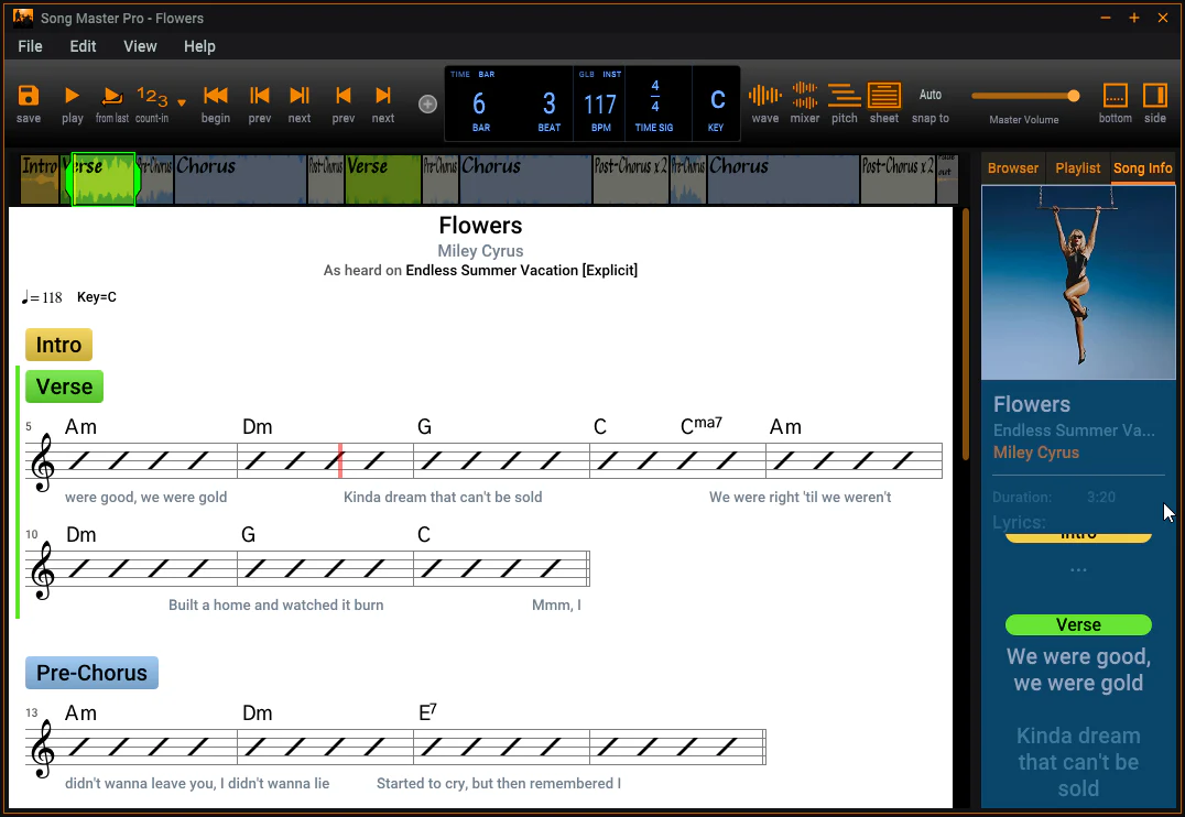 Song Master View Sheet