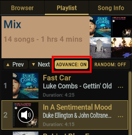 Playlist Advance button